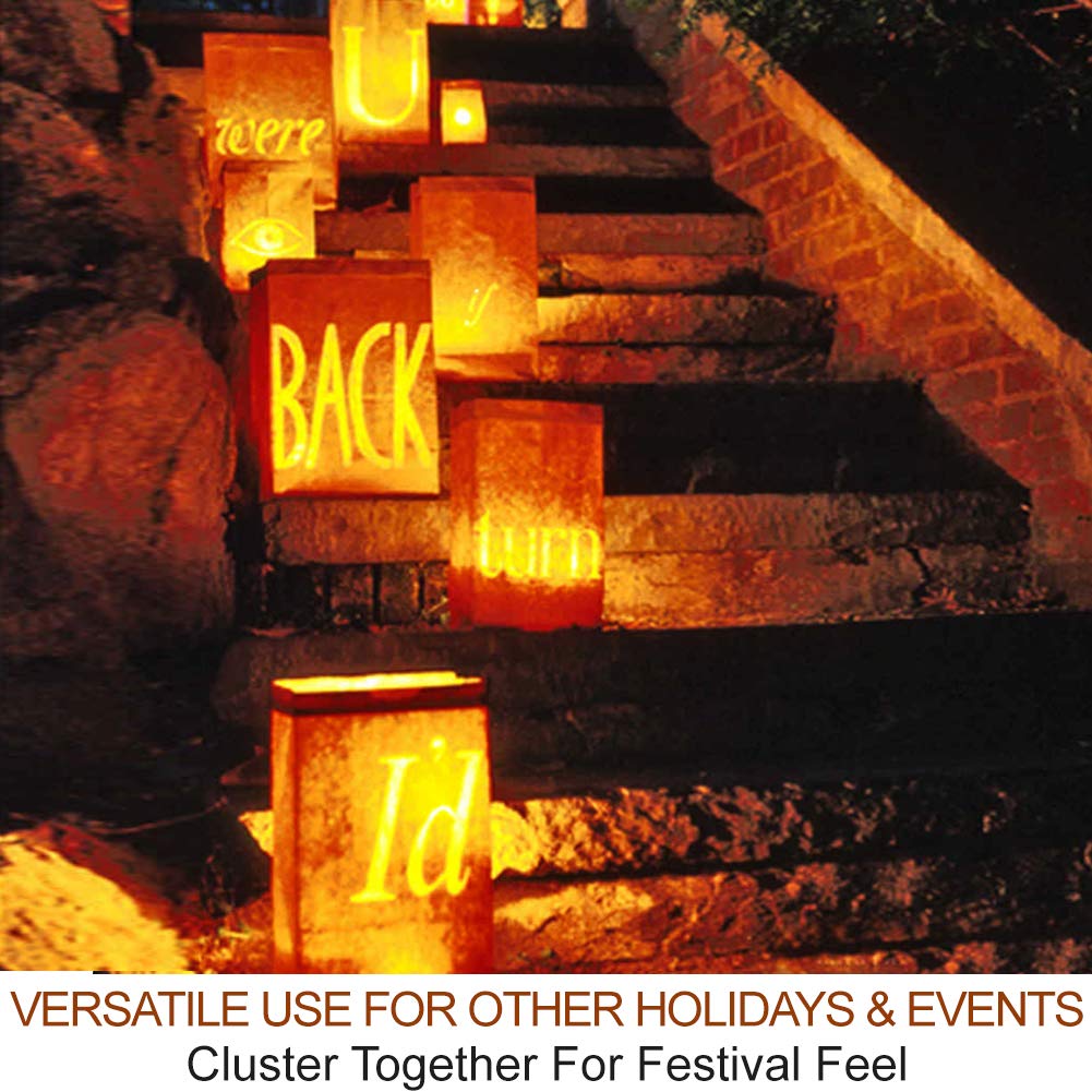 2-Pack Halloween Pumpkin Lights with Remote/Timer - Orange Pumpkin Lights LED Battery Operated Halloween Decor - Jack-O-Lantern Outdoor Decorations