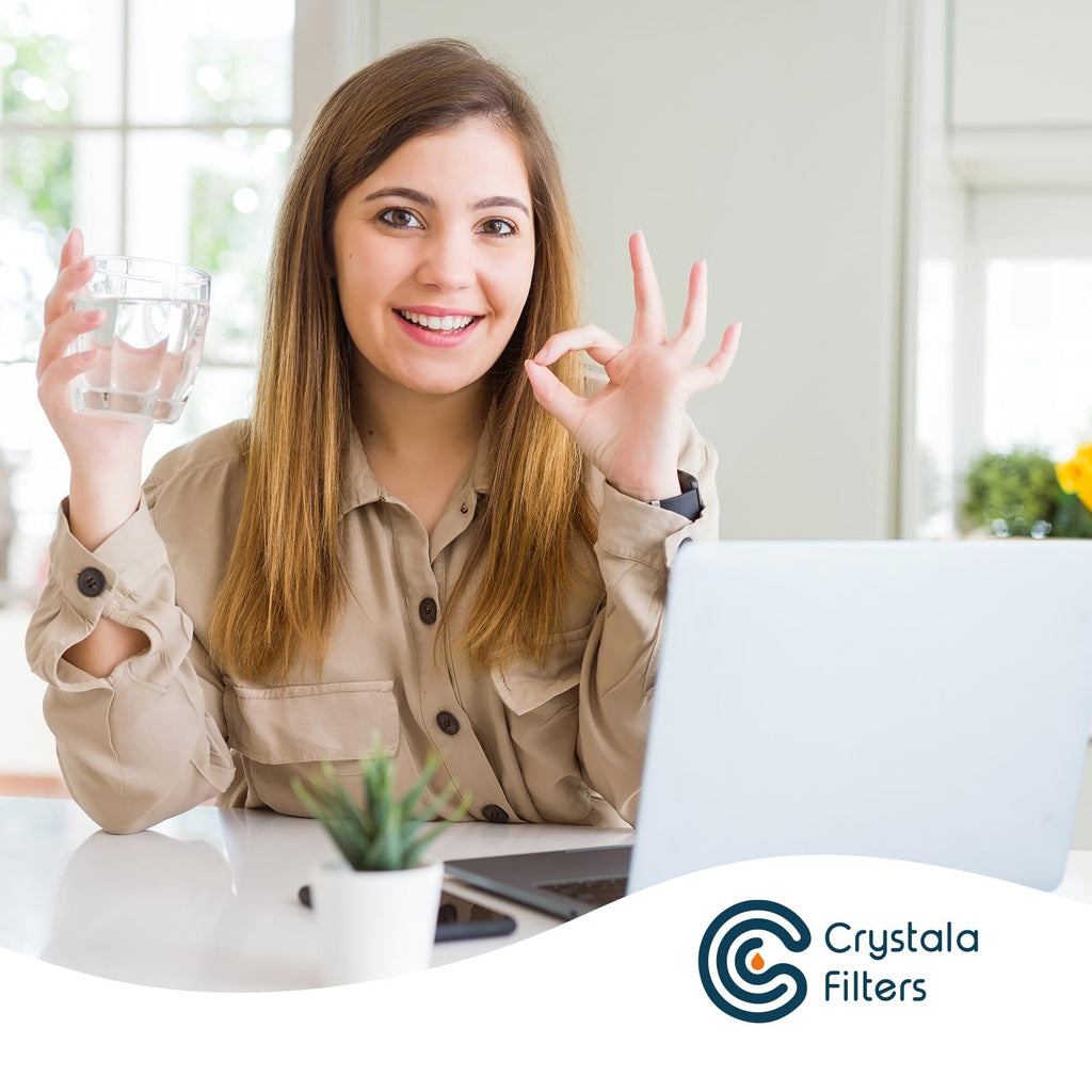 Crystala Filters XWFE (Built-in CHIP) Refrigerator Water Filter 2-Pack