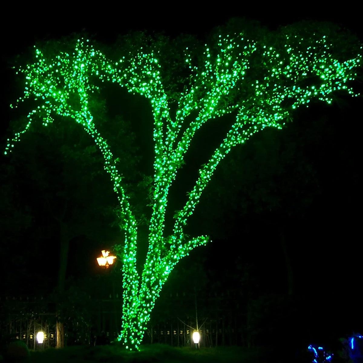DAZZLE BRIGHT Halloween 300 LED String Lights, 100FT String Lights with 8 Lighting Modes, Halloween Decorations for Party Carnival Supplies, Outdoor Yard Garden Decor (Purple & Orange)