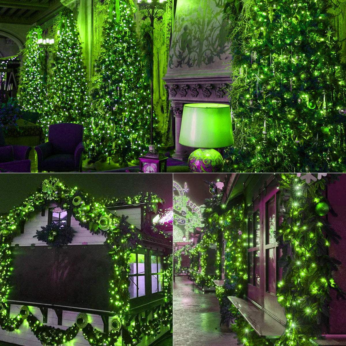 Brizled LED Halloween Lights Indoor Outdoor Orange & Purple String Light